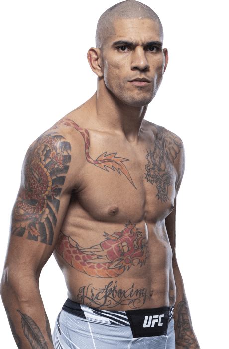 alex pereira ufc stats